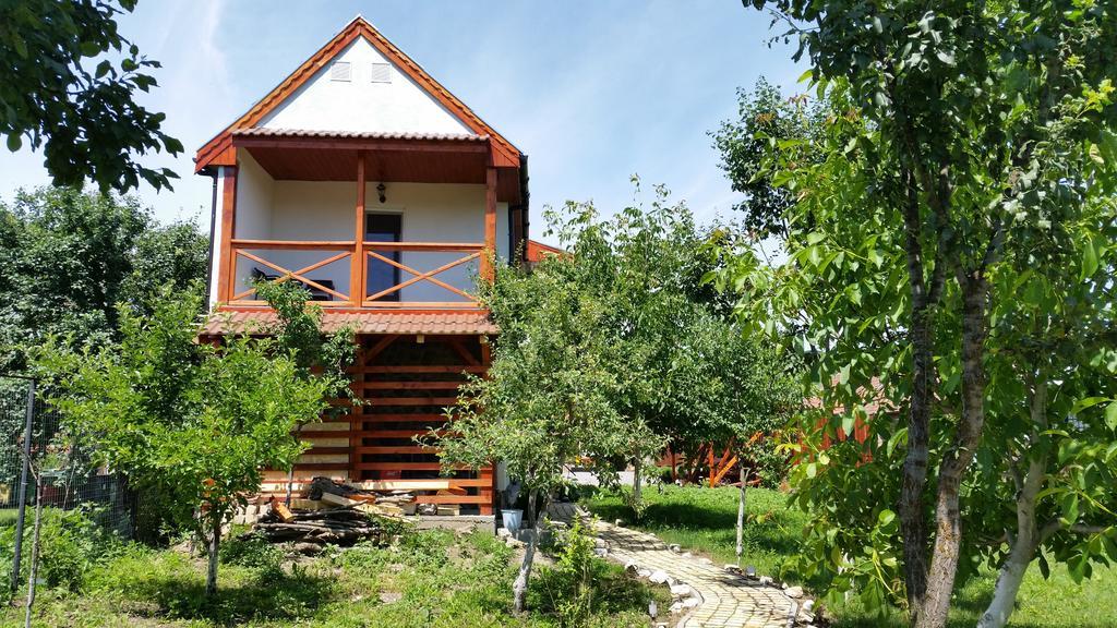 Hotel Casa Agnes Vendeghaz Fantanele  Esterno foto