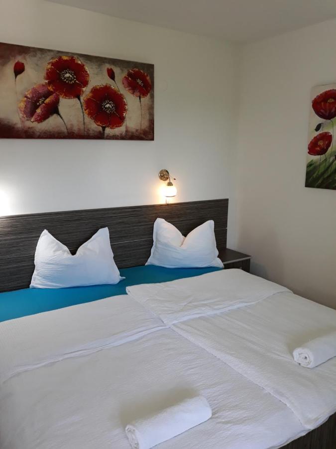 Hotel Casa Agnes Vendeghaz Fantanele  Esterno foto